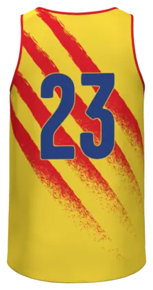 La camiseta de Catalunya Touch por detrás